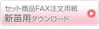 セット商品FAX注文用紙